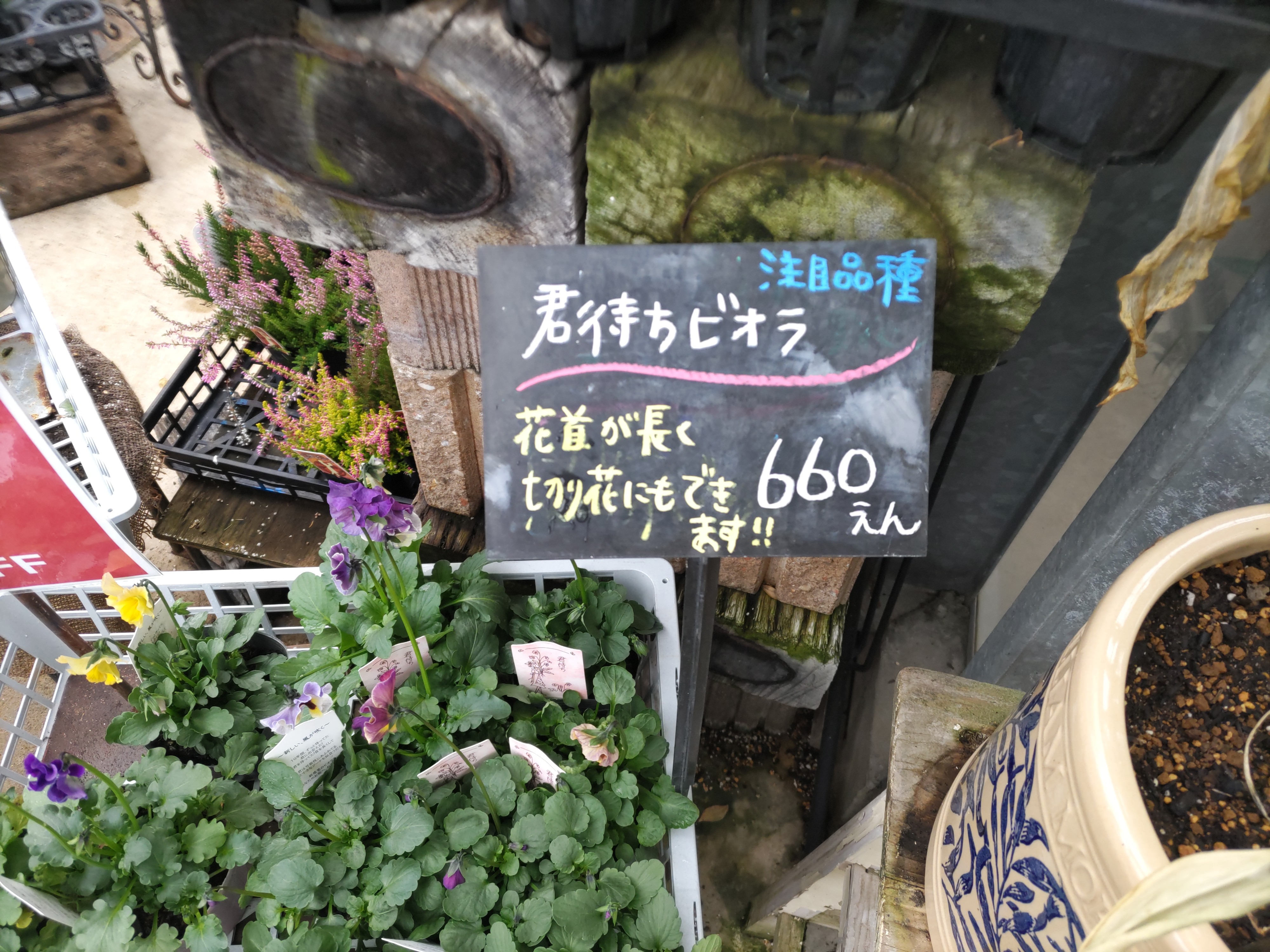 f:id:ninasimone:20241228161118j:image