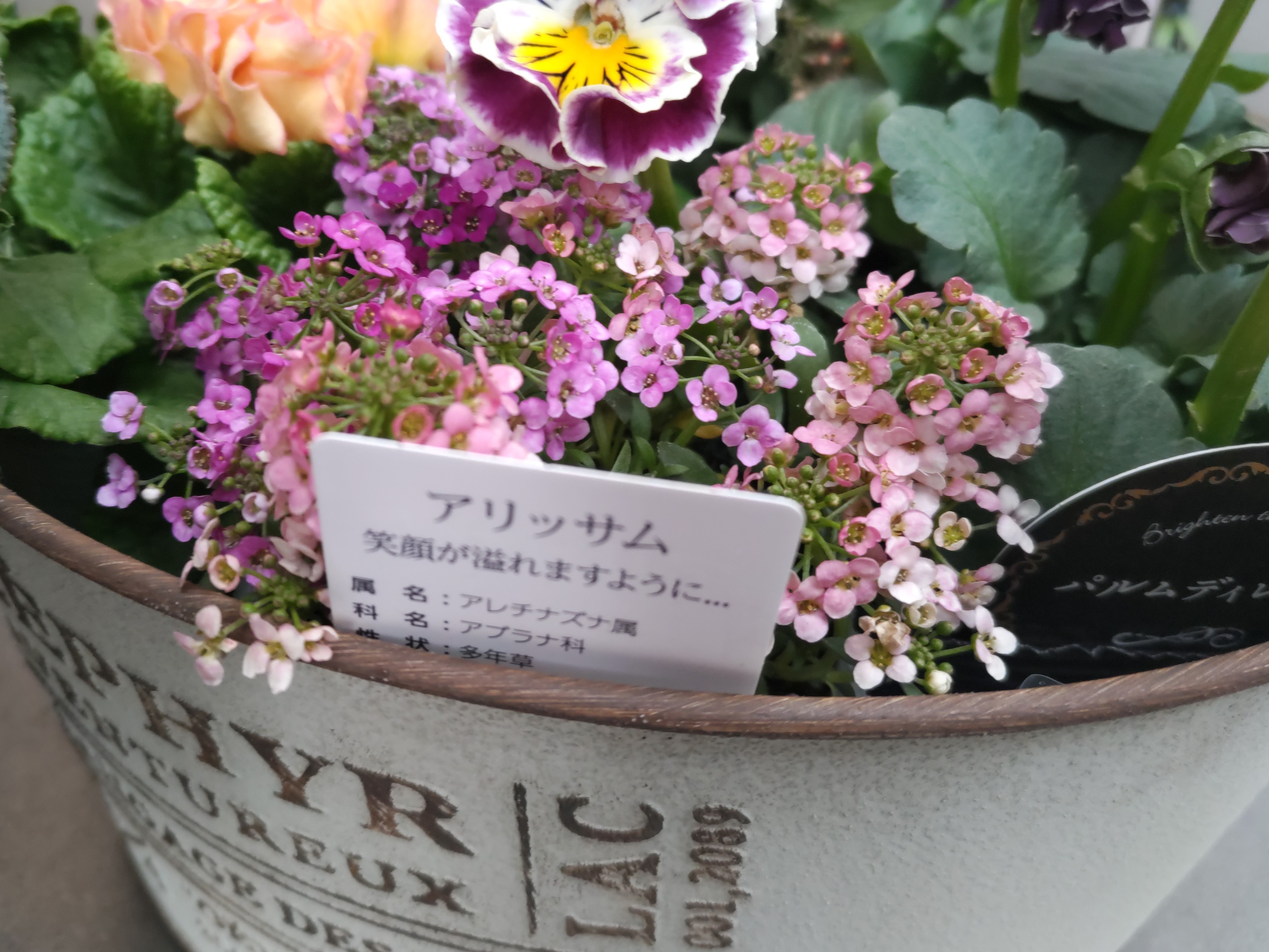 f:id:ninasimone:20250114204140j:image