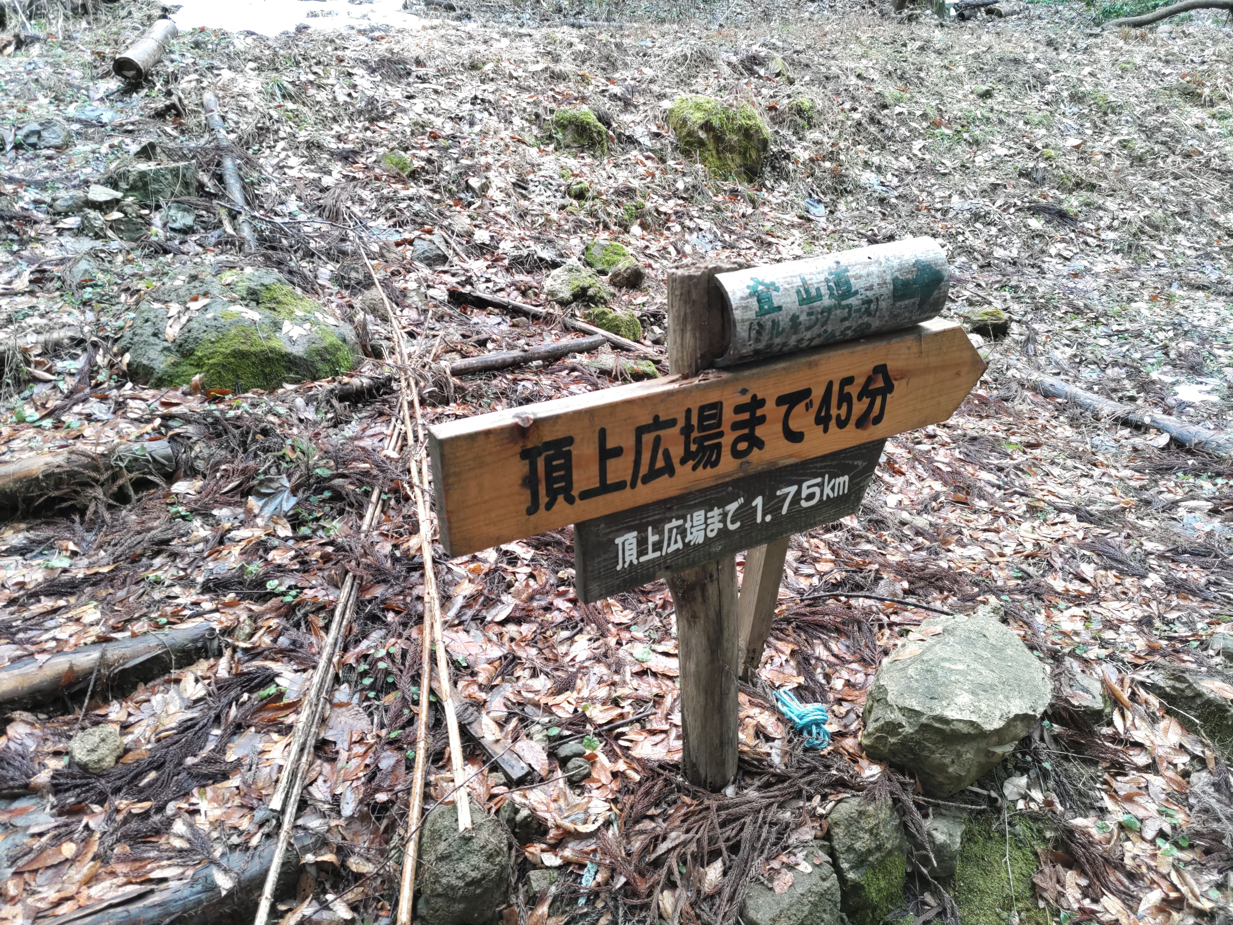 f:id:ninasimone:20250122115559j:image
