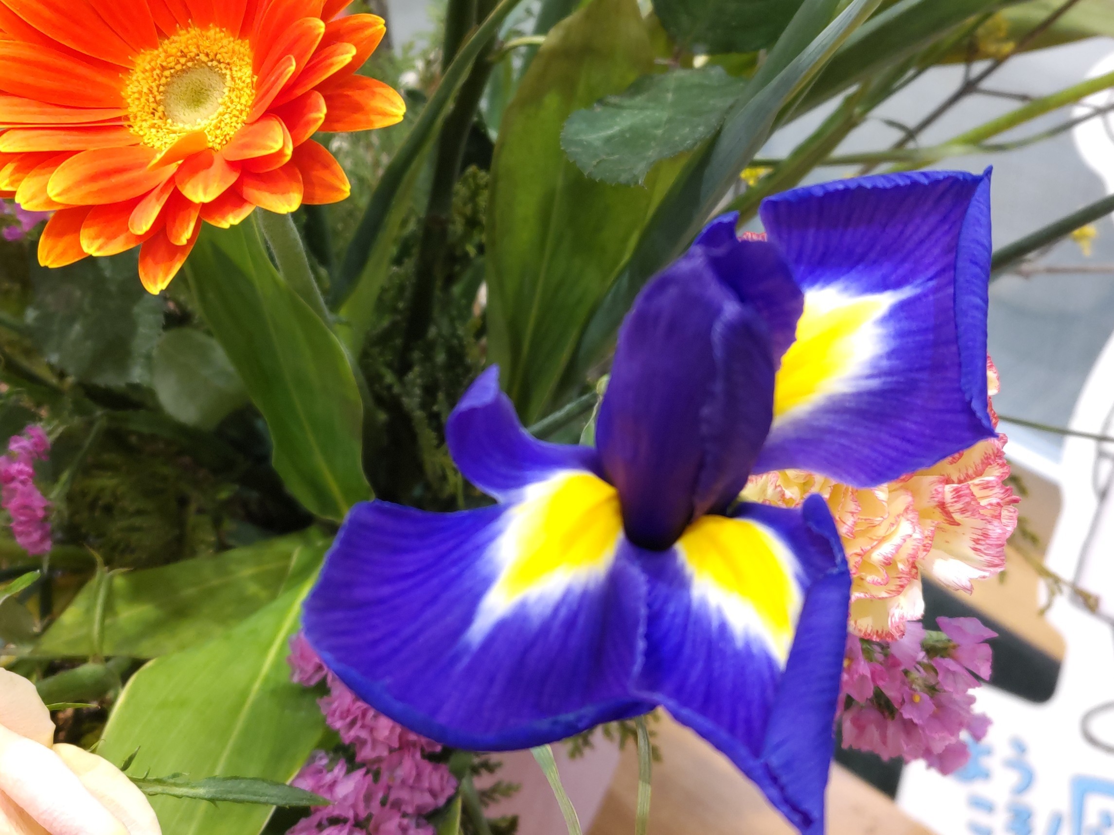 f:id:ninasimone:20250228075909j:image
