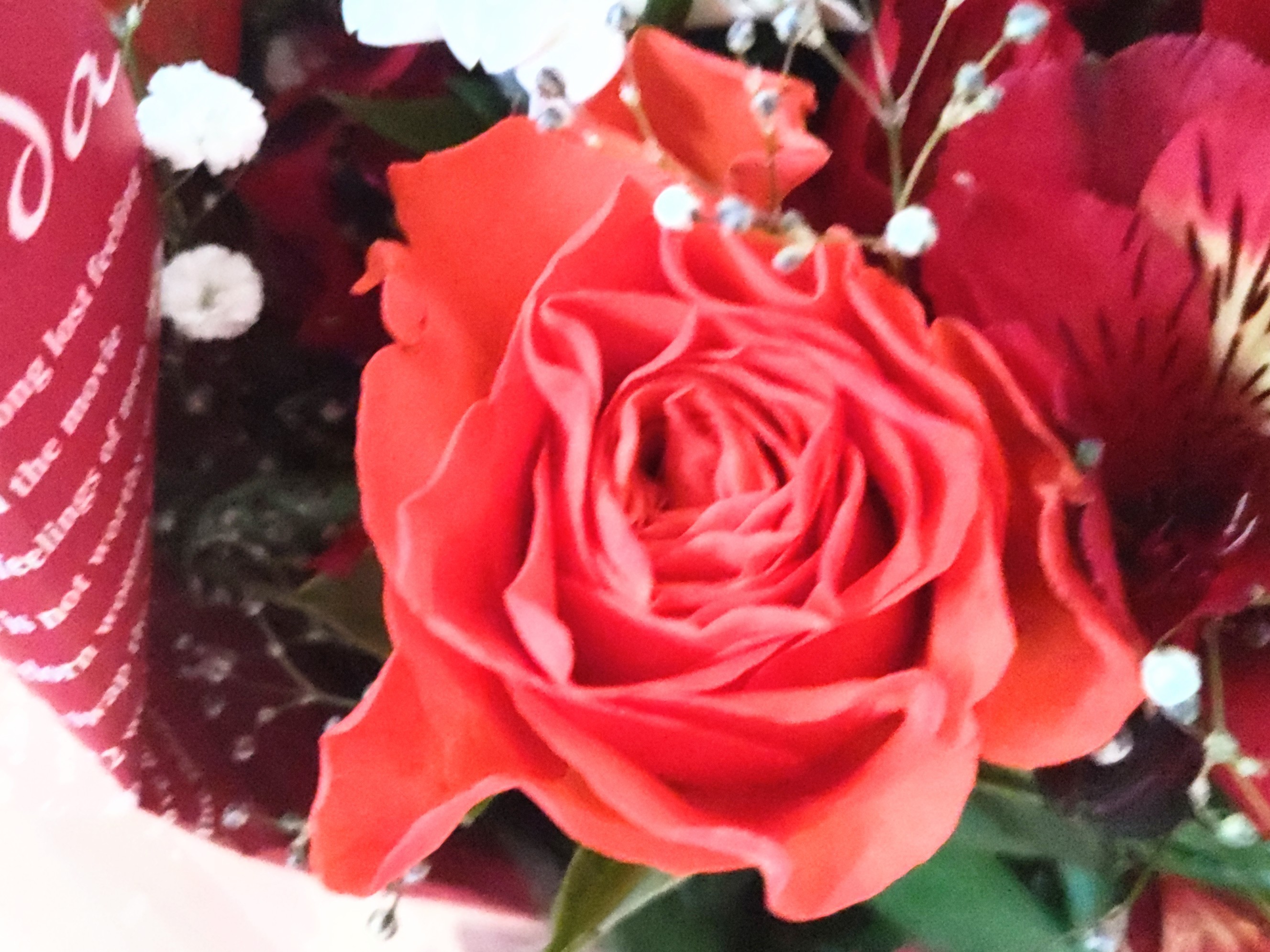 f:id:ninasimone:20250327180428j:image