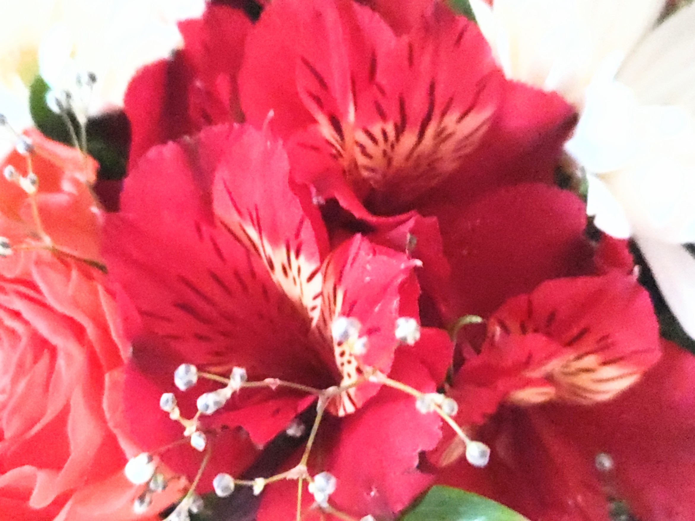 f:id:ninasimone:20250327180441j:image