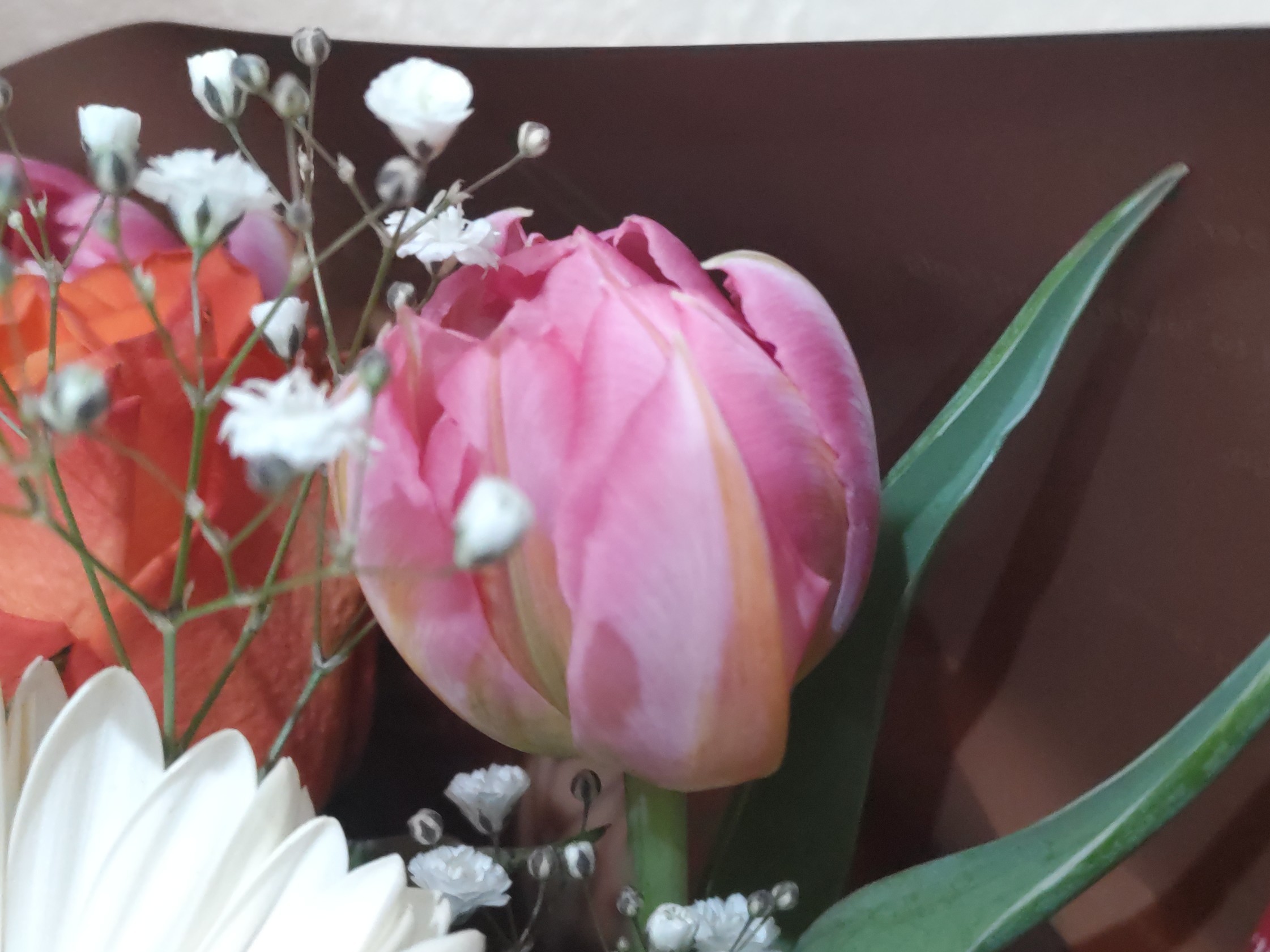 f:id:ninasimone:20250328074234j:image