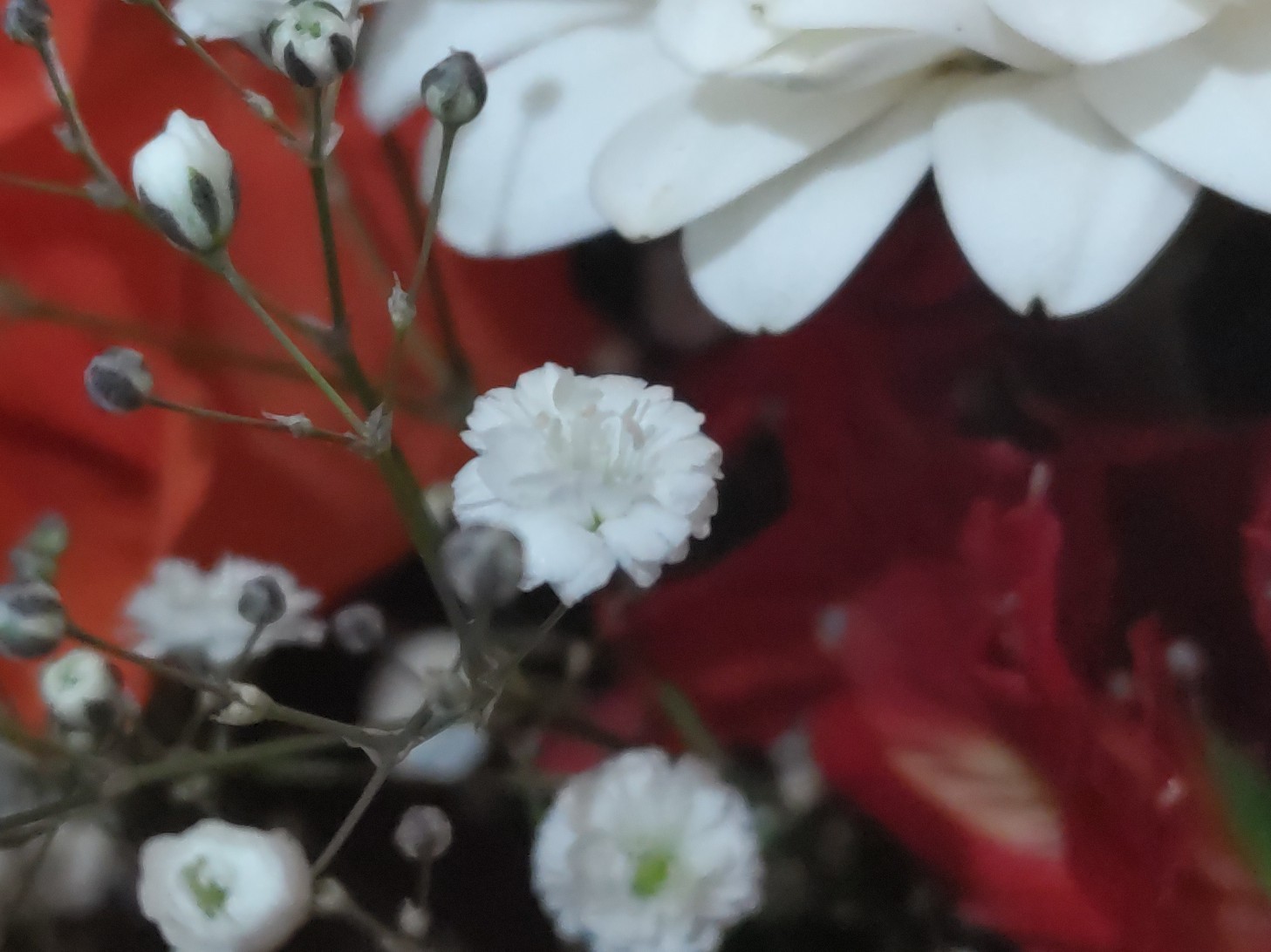 f:id:ninasimone:20250328074252j:image