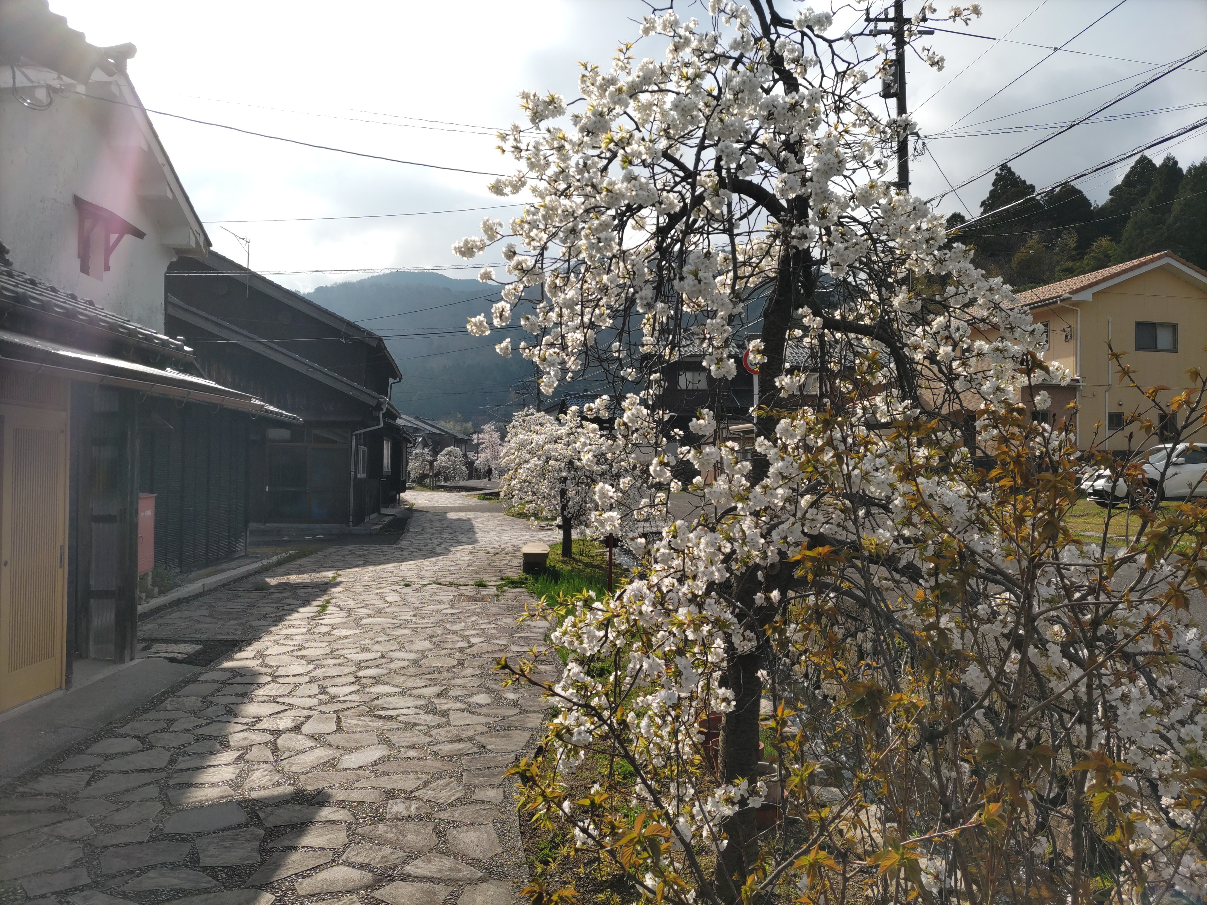 f:id:ninasimone:20250412122701j:image