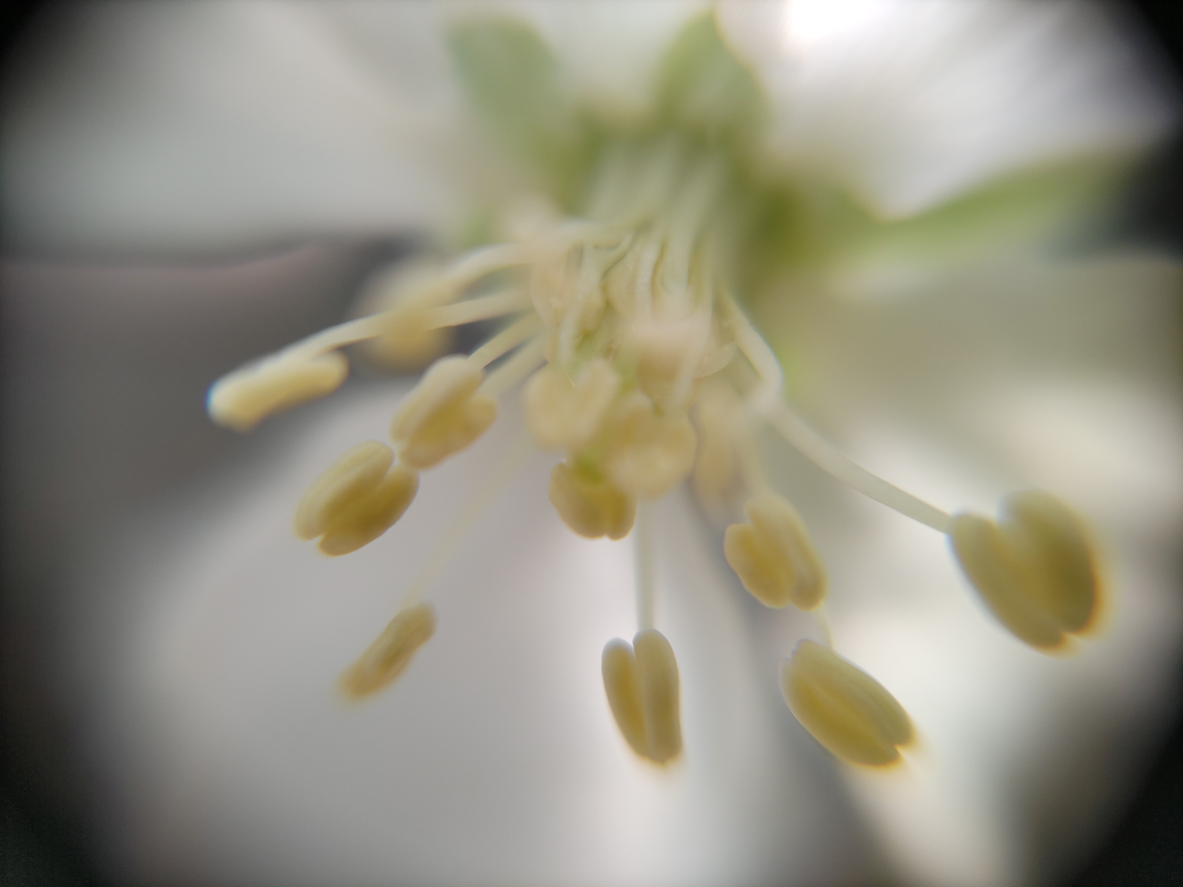 f:id:ninasimone:20250421185529j:image