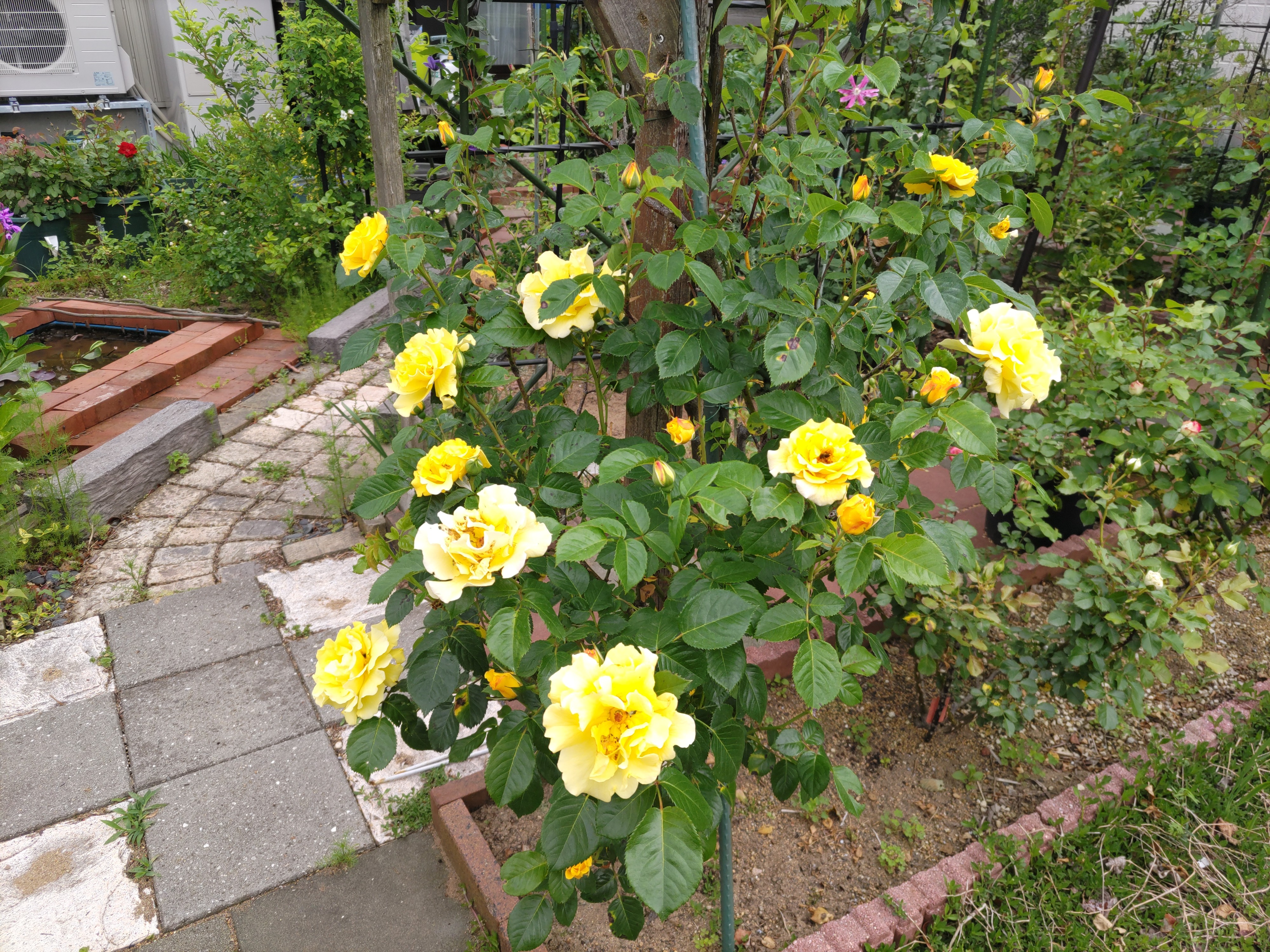f:id:ninasimone:20250516224100j:image