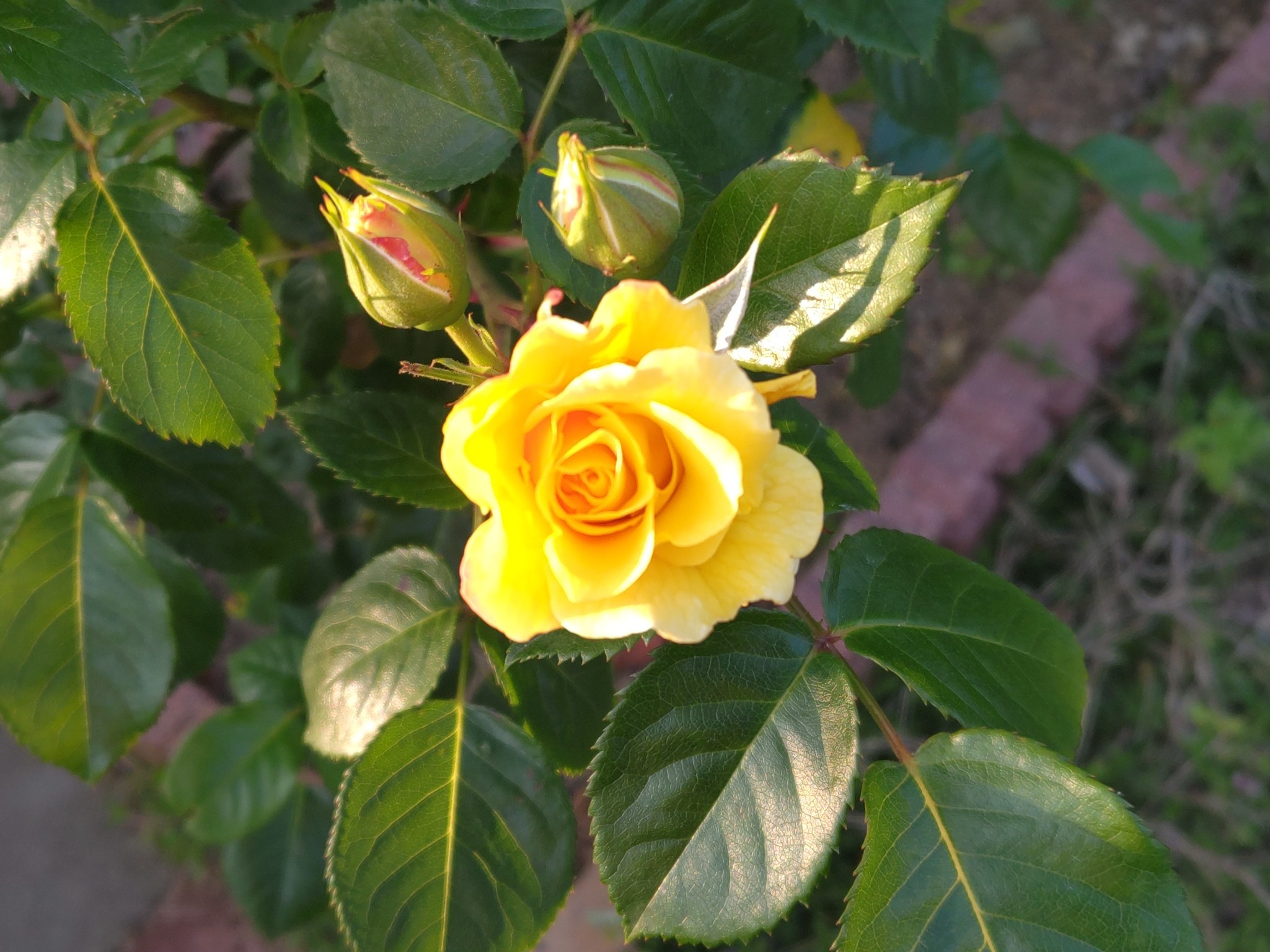f:id:ninasimone:20250516224625j:image