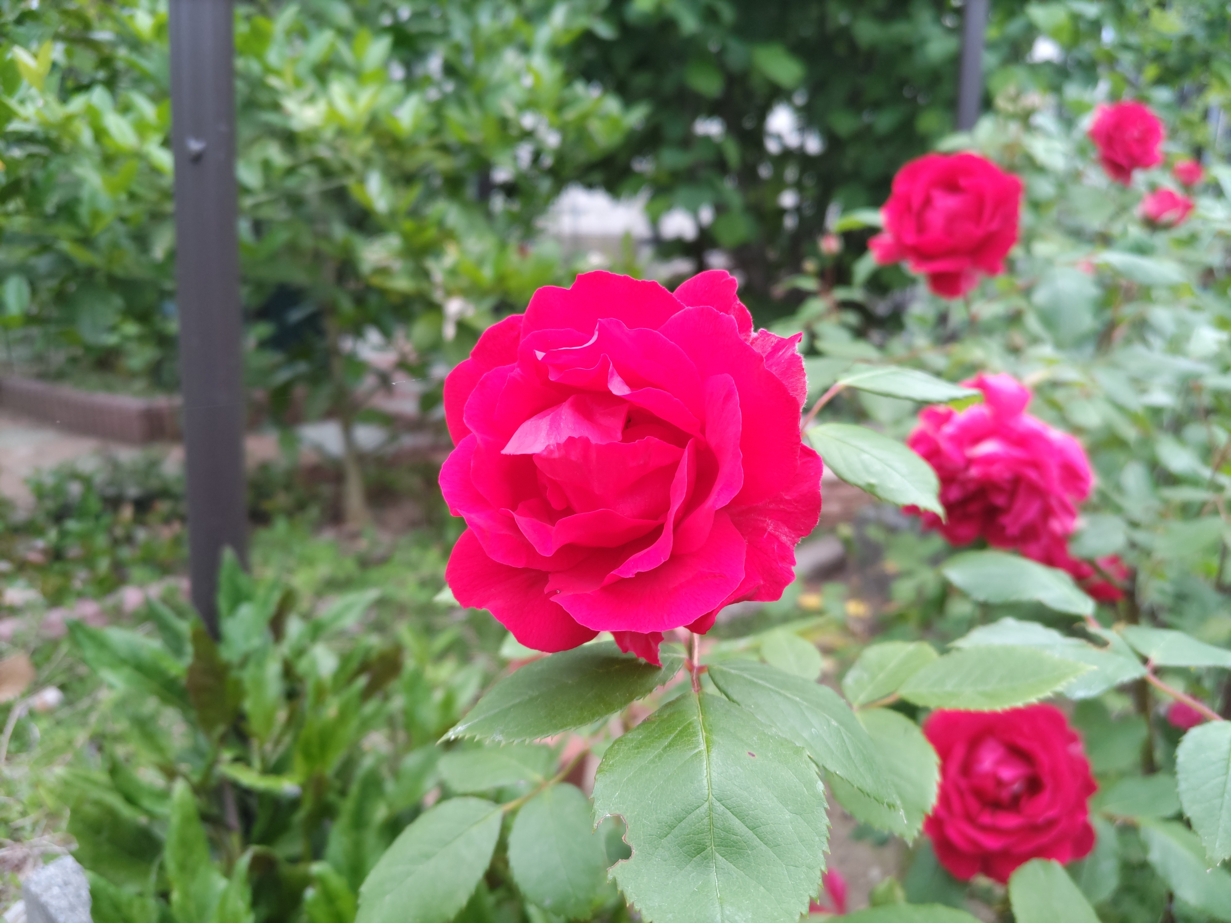 f:id:ninasimone:20250516225010j:image