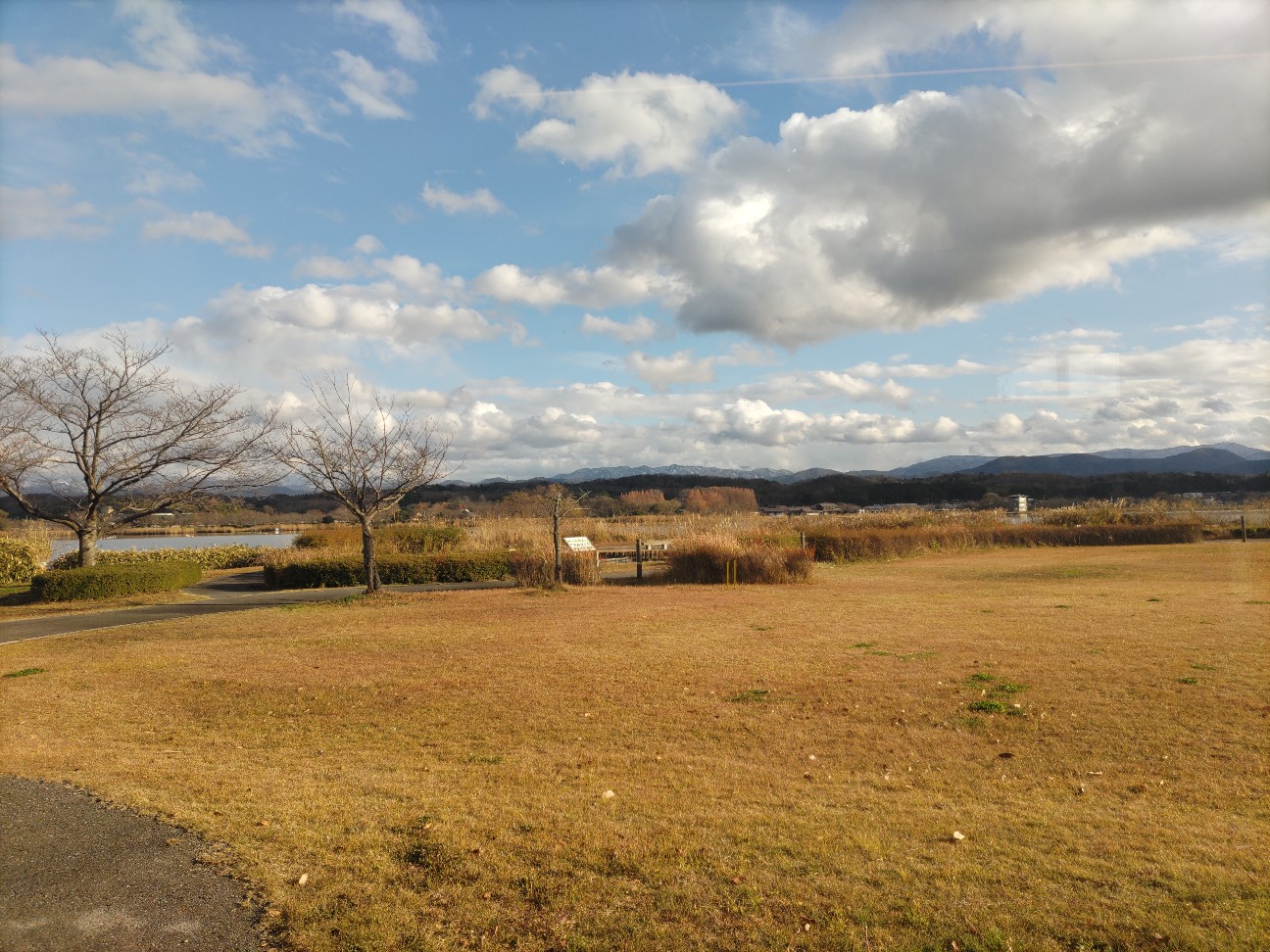 f:id:ninasimone:20251210201334j:image