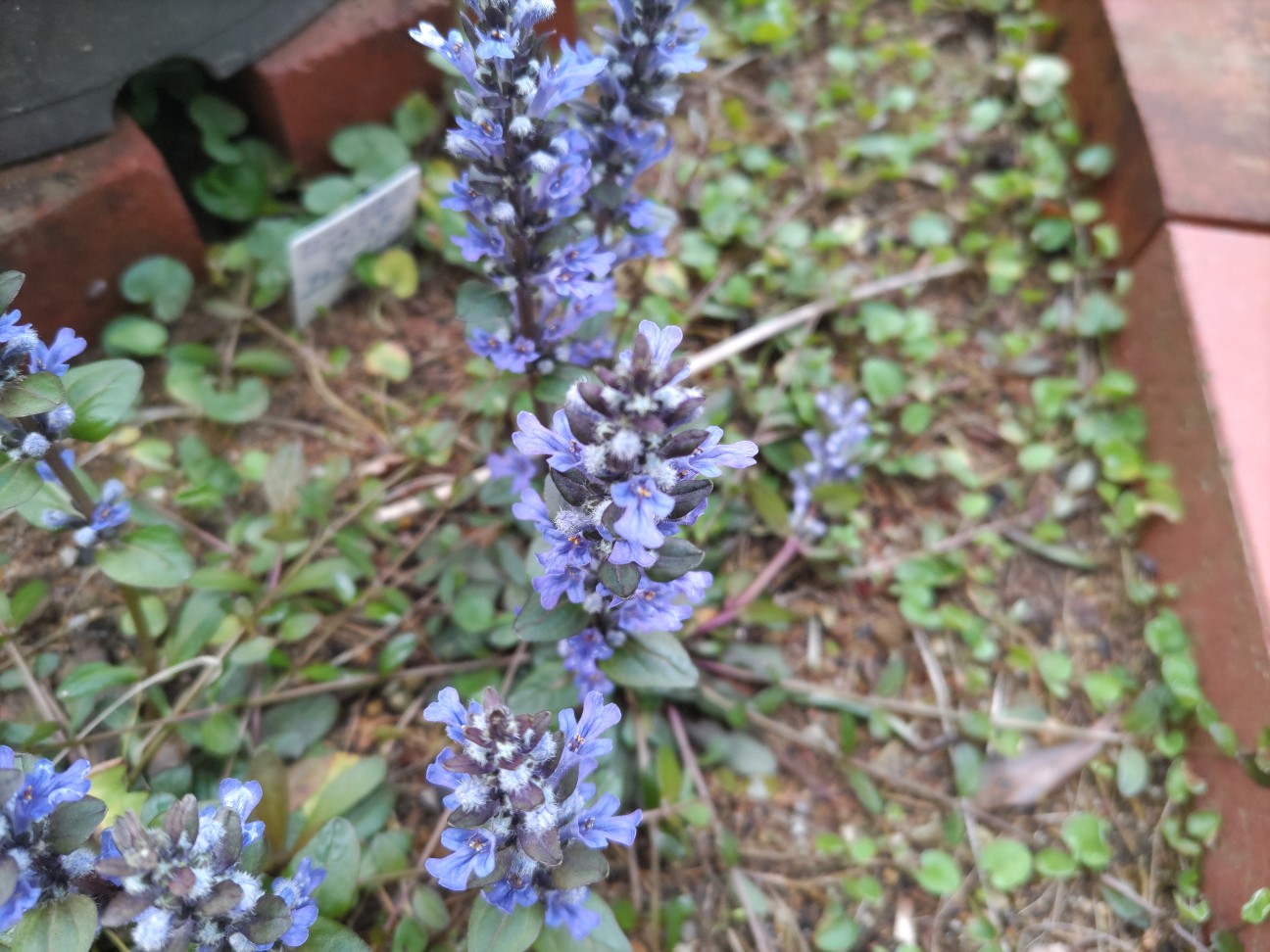 f:id:ninasimone:20260417051342j:image