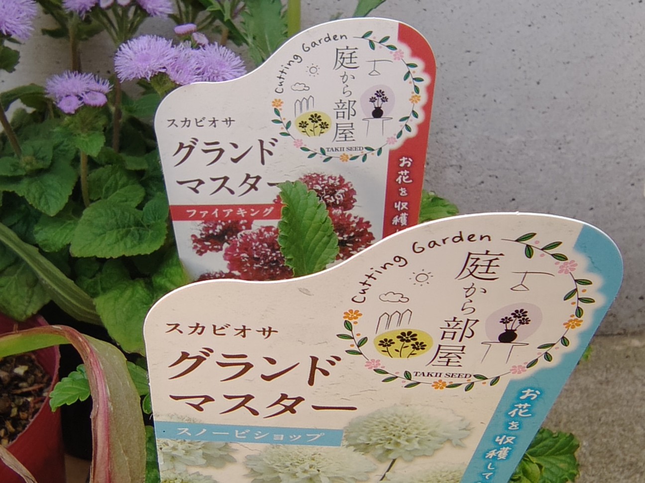 f:id:ninasimone:20260603211721j:image