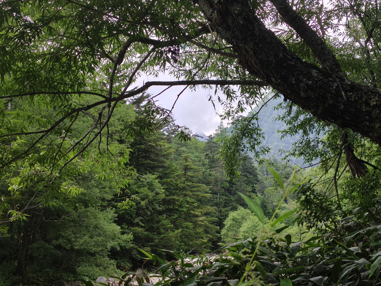 f:id:ninasimone:20260725201915j:image
