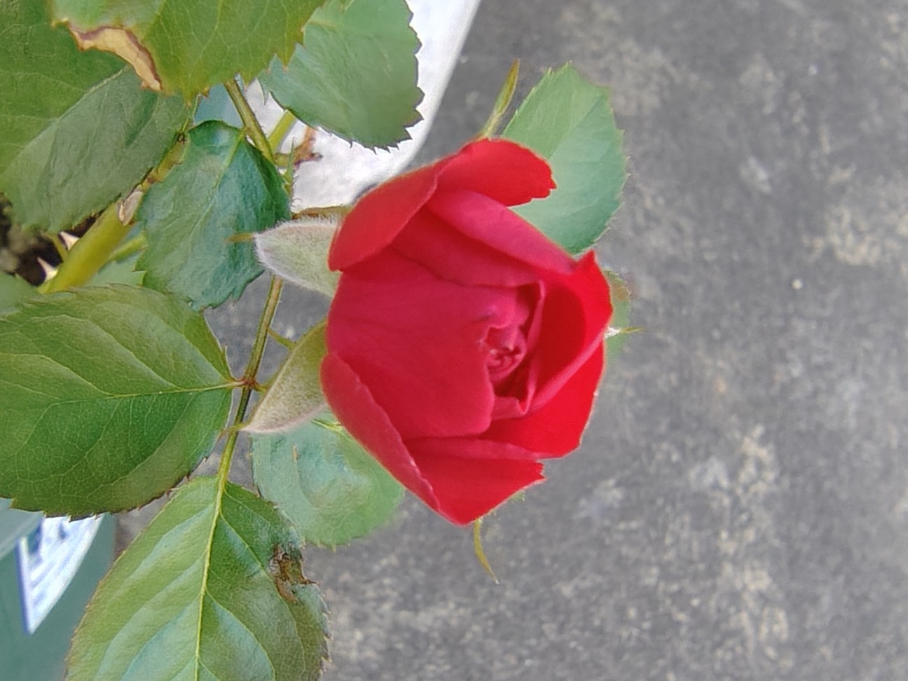 f:id:ninasimone:20260727204910j:image