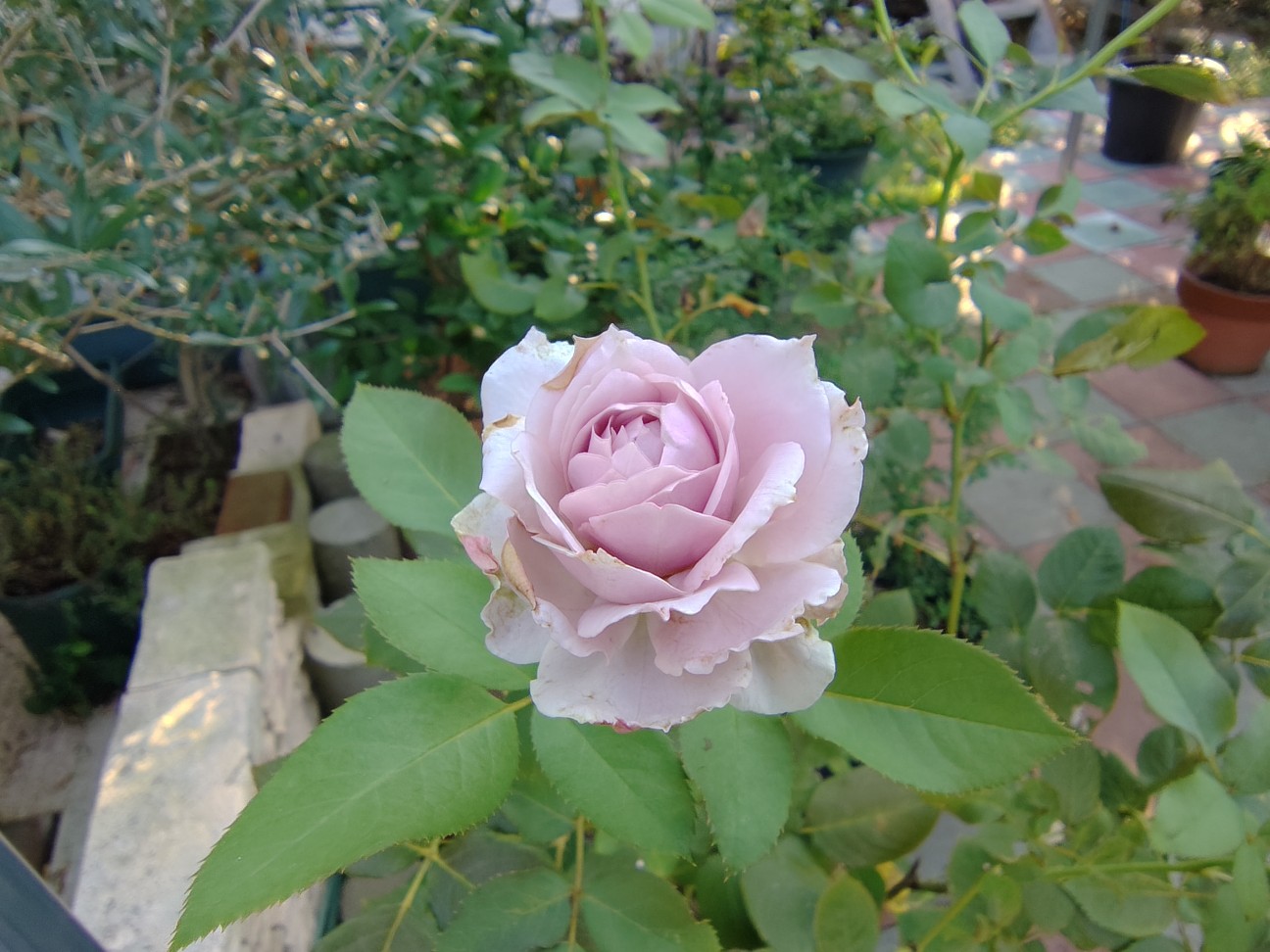 f:id:ninasimone:20260825134718j:image f:id:ninasimone:20260825134718j:image