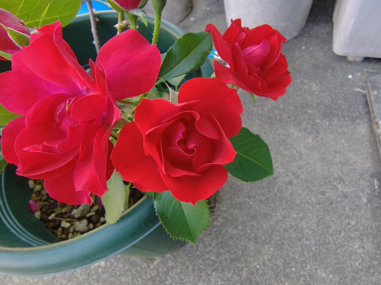 f:id:ninasimone:20260825135315j:image f:id:ninasimone:20260825135315j:image