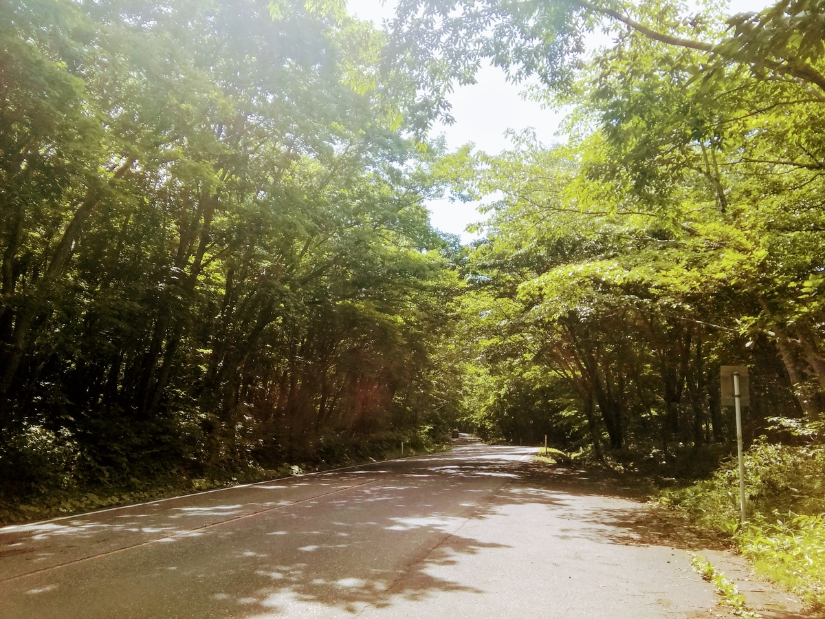 f:id:nincoronyan:20201009150936j:plain f:id:nincoronyan:20201009150936j:plain