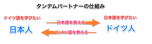 タンデムパートナーを説明した図式