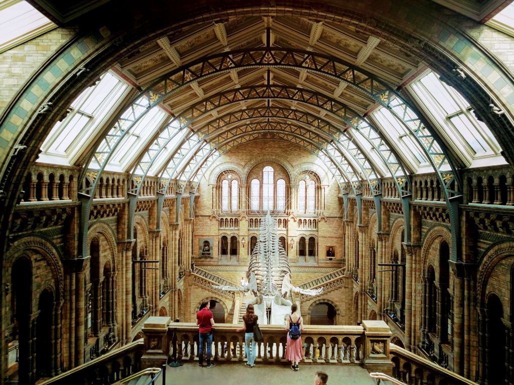 展示も建築も大迫力！】ロンドン自然史博物館の見どころをご紹介
