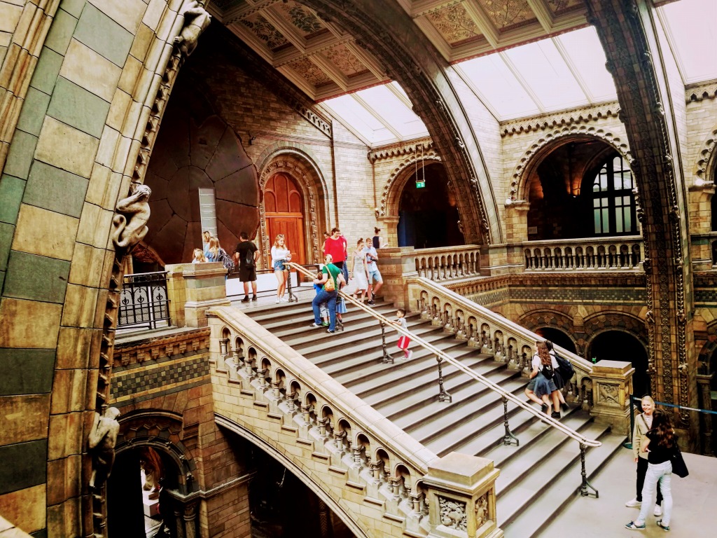 展示も建築も大迫力 ロンドン自然史博物館の見どころをご紹介 初心者陸マイラーが簡単にハワイに行く方法