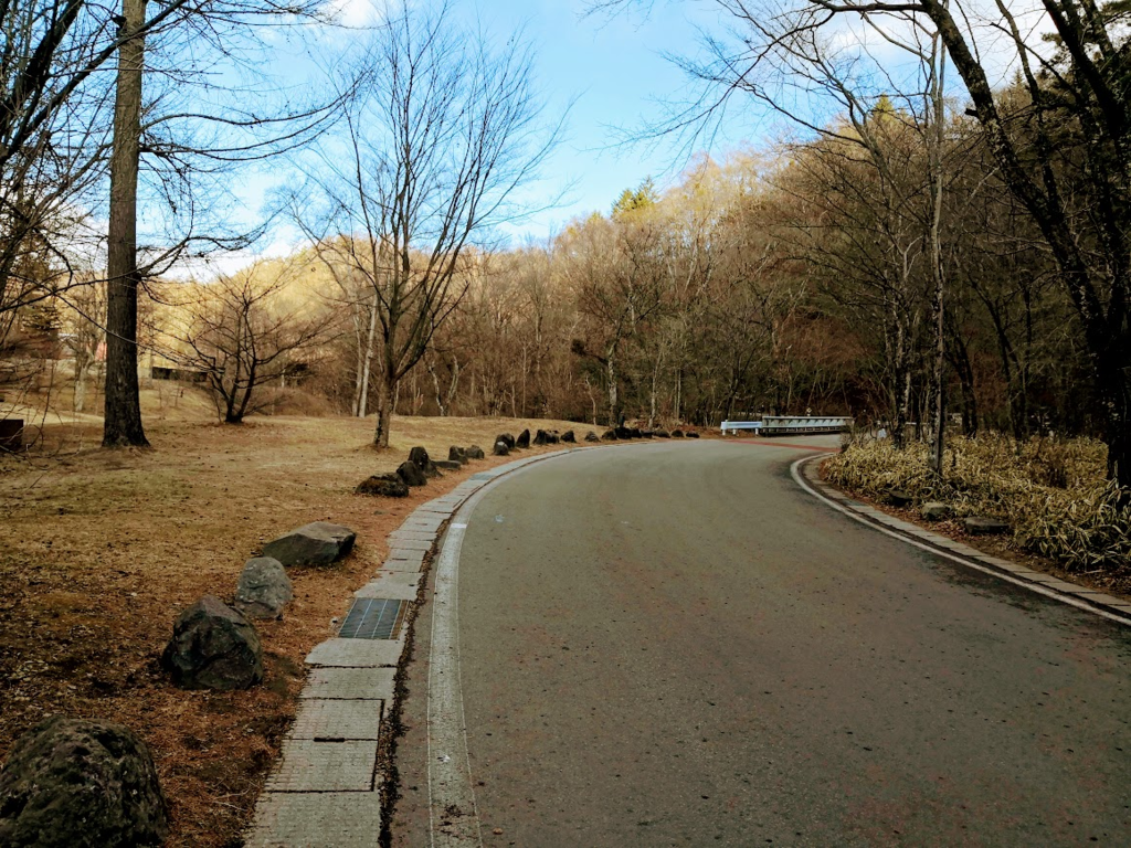 f:id:nininakeru:20190104220747p:plain