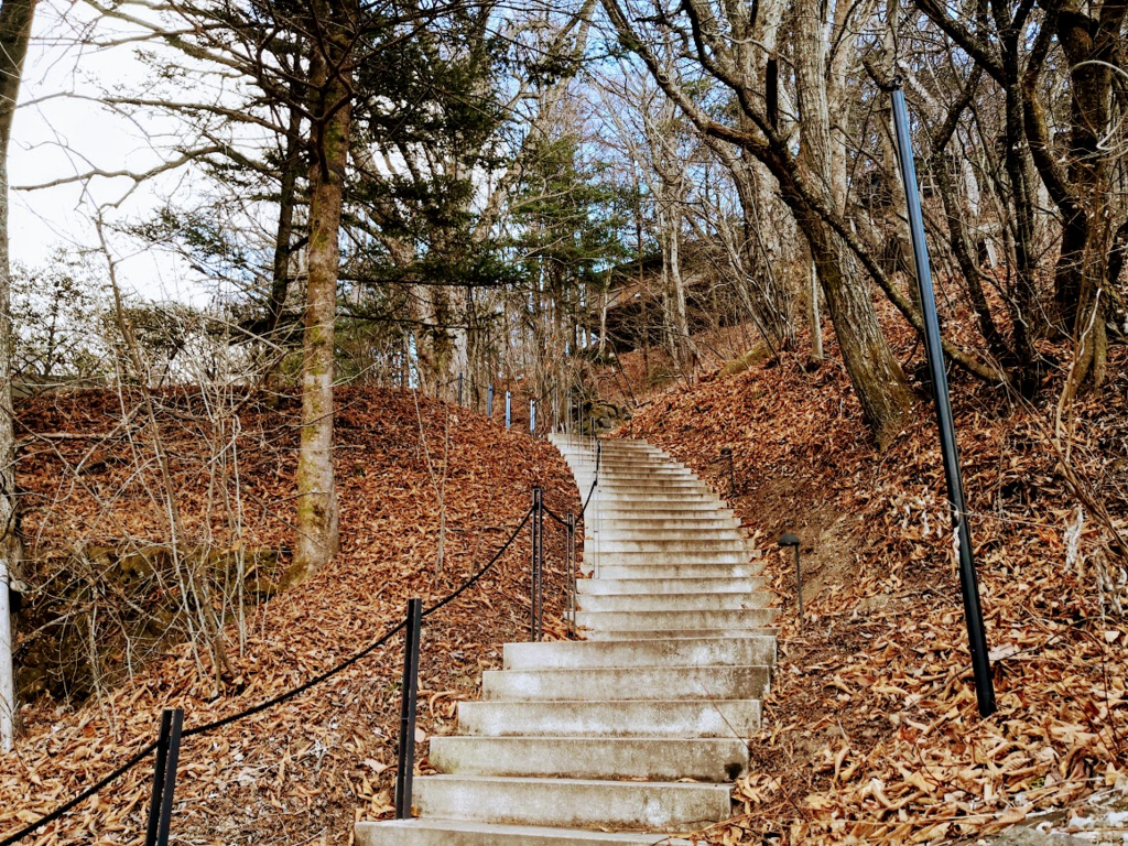 f:id:nininakeru:20190104221113p:plain