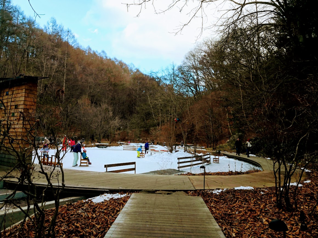 f:id:nininakeru:20190104224944p:plain