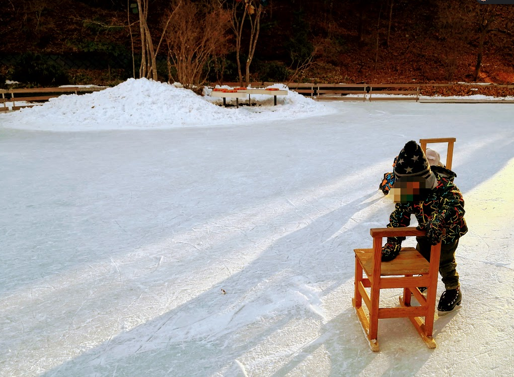 f:id:nininakeru:20190104230913p:plain