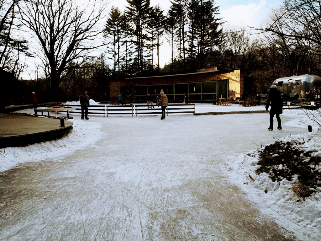 f:id:nininakeru:20190104232818p:plain