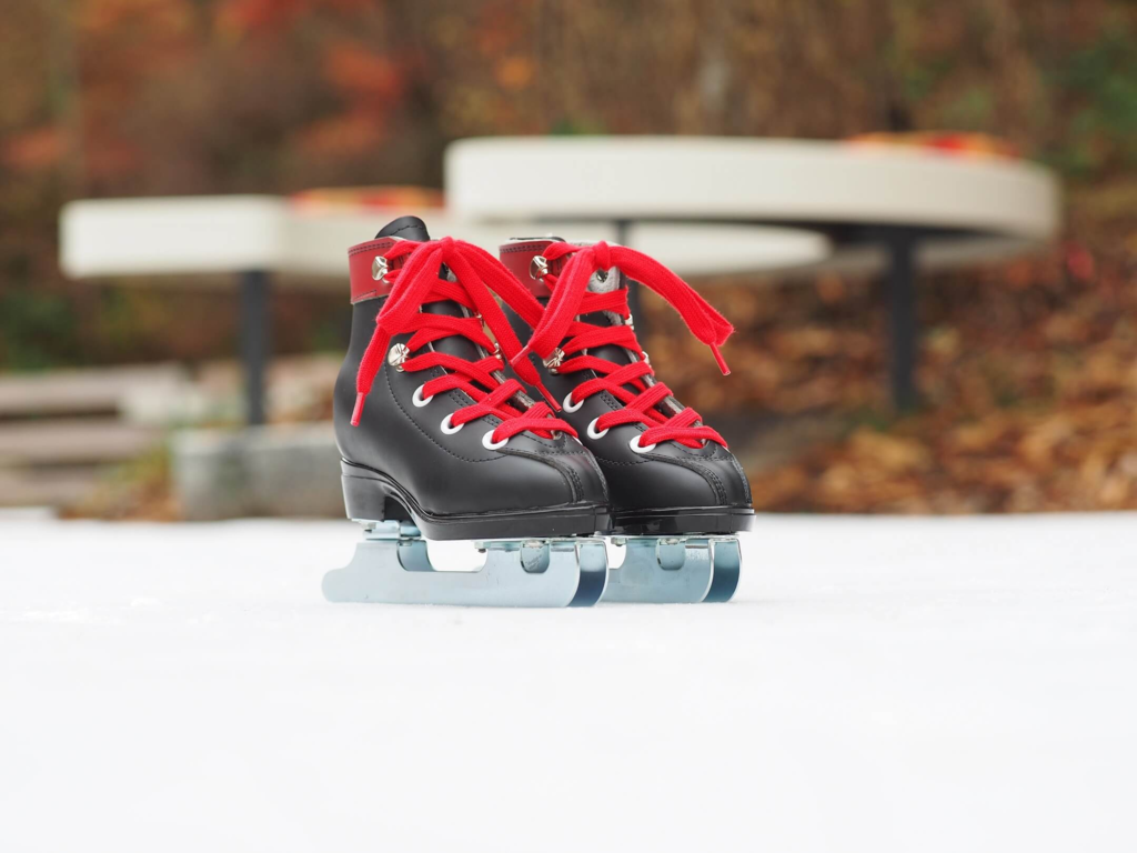 f:id:nininakeru:20190104235330p:plain