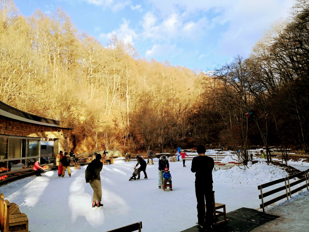 f:id:nininakeru:20190109011522p:plain