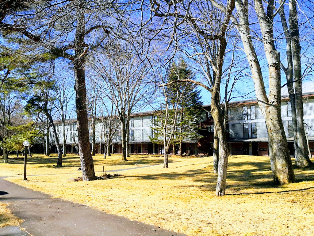 f:id:nininakeru:20190124233034p:plain