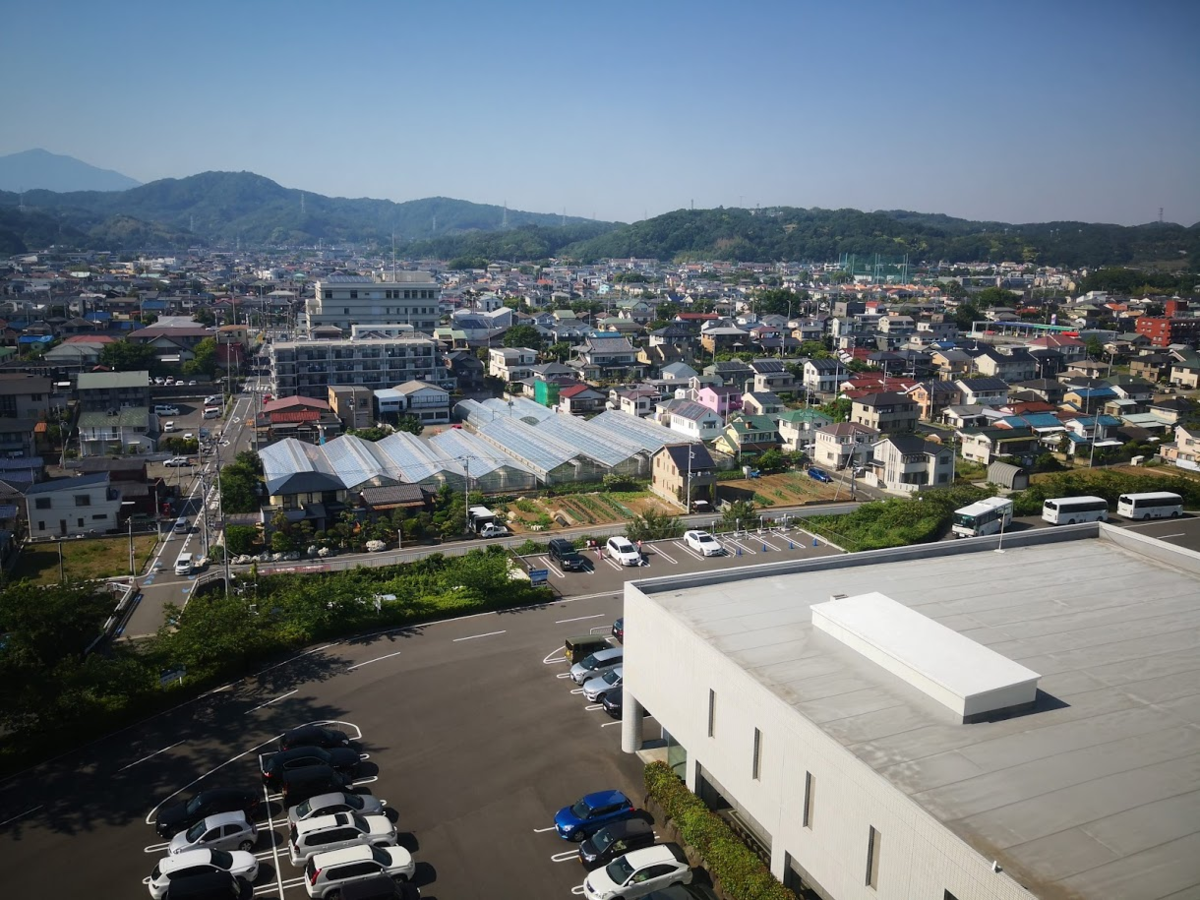 f:id:nininakeru:20190525234650p:plain