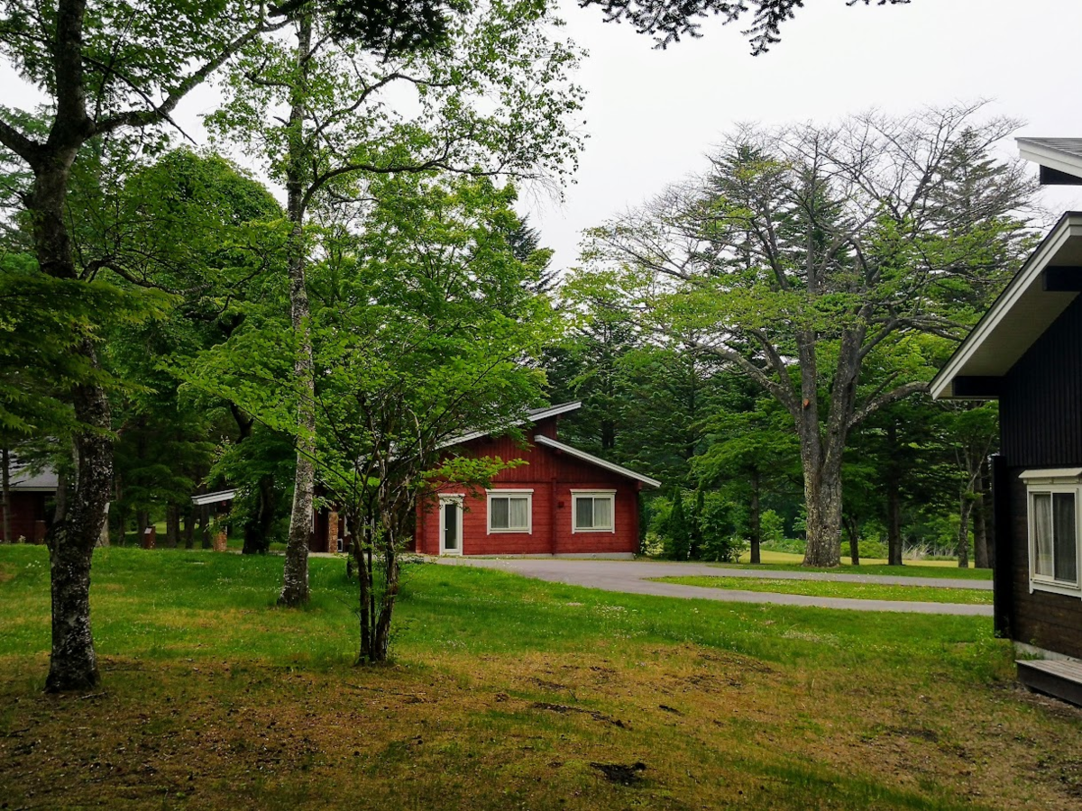 f:id:nininakeru:20190602222503p:plain