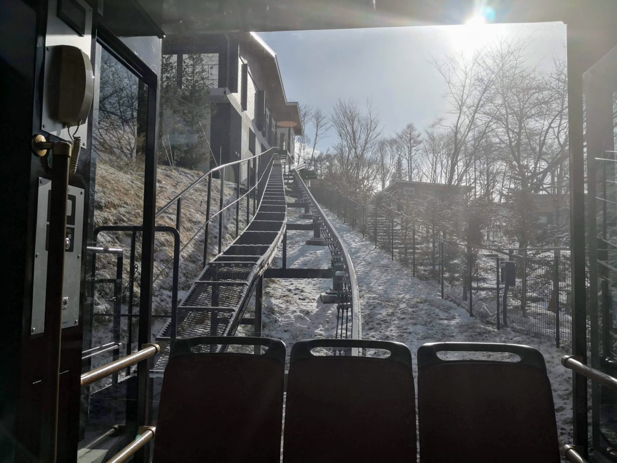 f:id:nininakeru:20200105193915p:plain