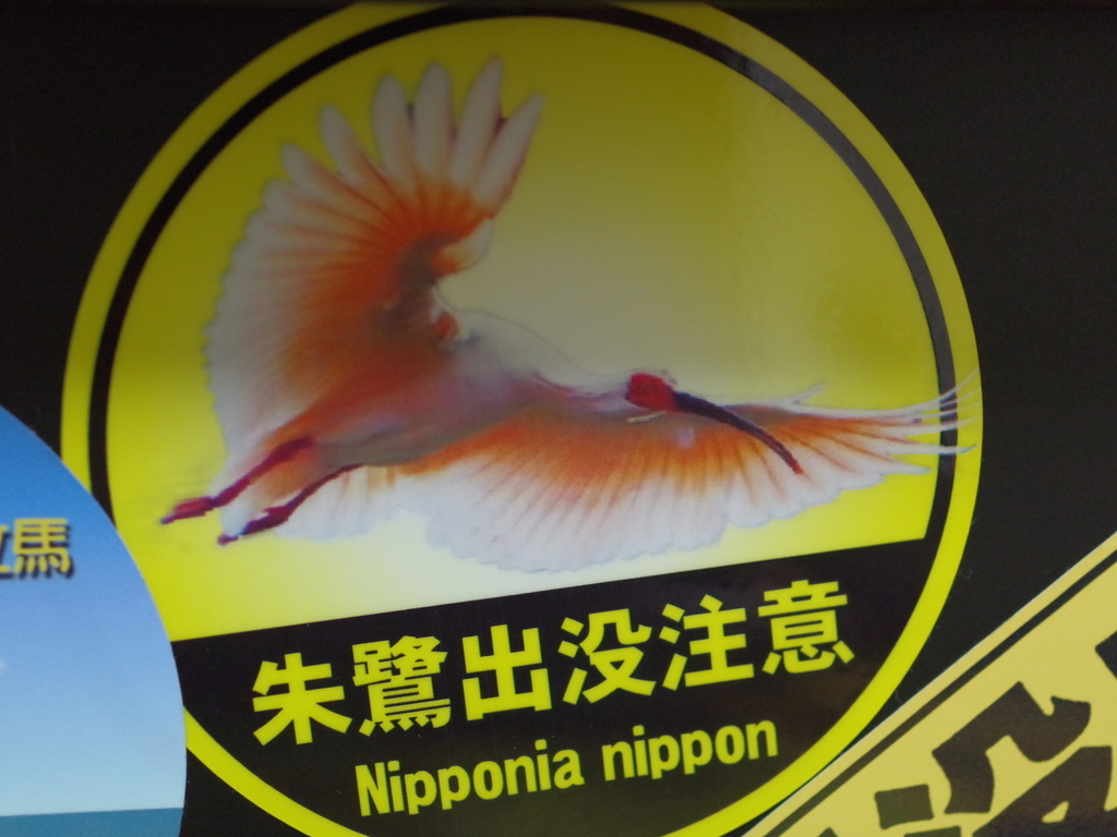 f:id:ninjalifegudaguda:20181208192652j:plain f:id:ninjalifegudaguda:20181208192652j:plain