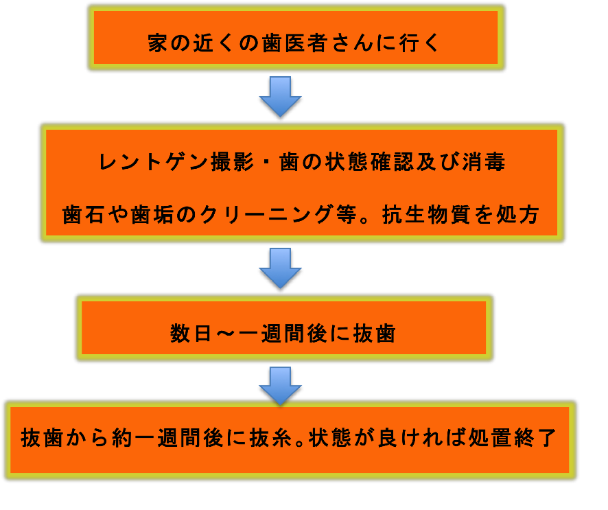 f:id:ninjalifegudaguda:20190109151956p:plain f:id:ninjalifegudaguda:20190109151956p:plain