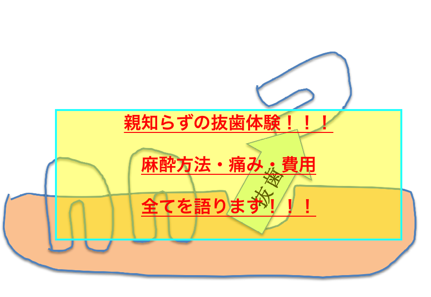 f:id:ninjalifegudaguda:20190224162133p:plain f:id:ninjalifegudaguda:20190224162133p:plain