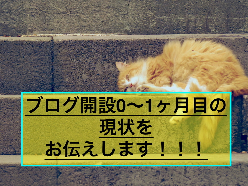 f:id:ninjalifegudaguda:20190224181311j:plain f:id:ninjalifegudaguda:20190224181311j:plain