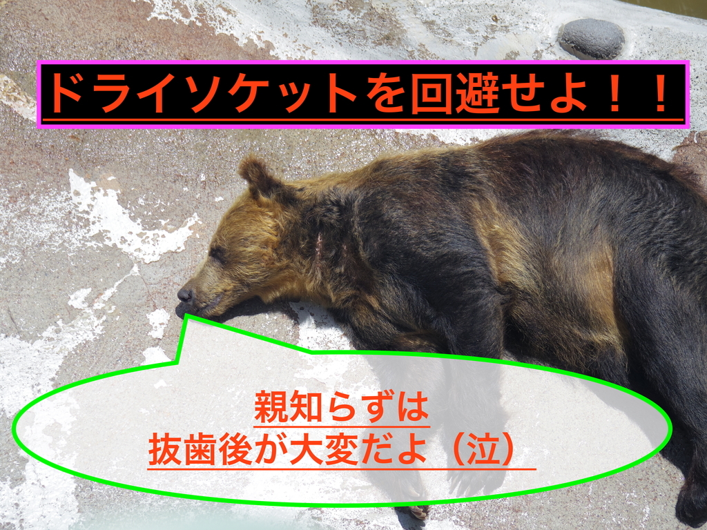 f:id:ninjalifegudaguda:20190226210646j:plain f:id:ninjalifegudaguda:20190226210646j:plain