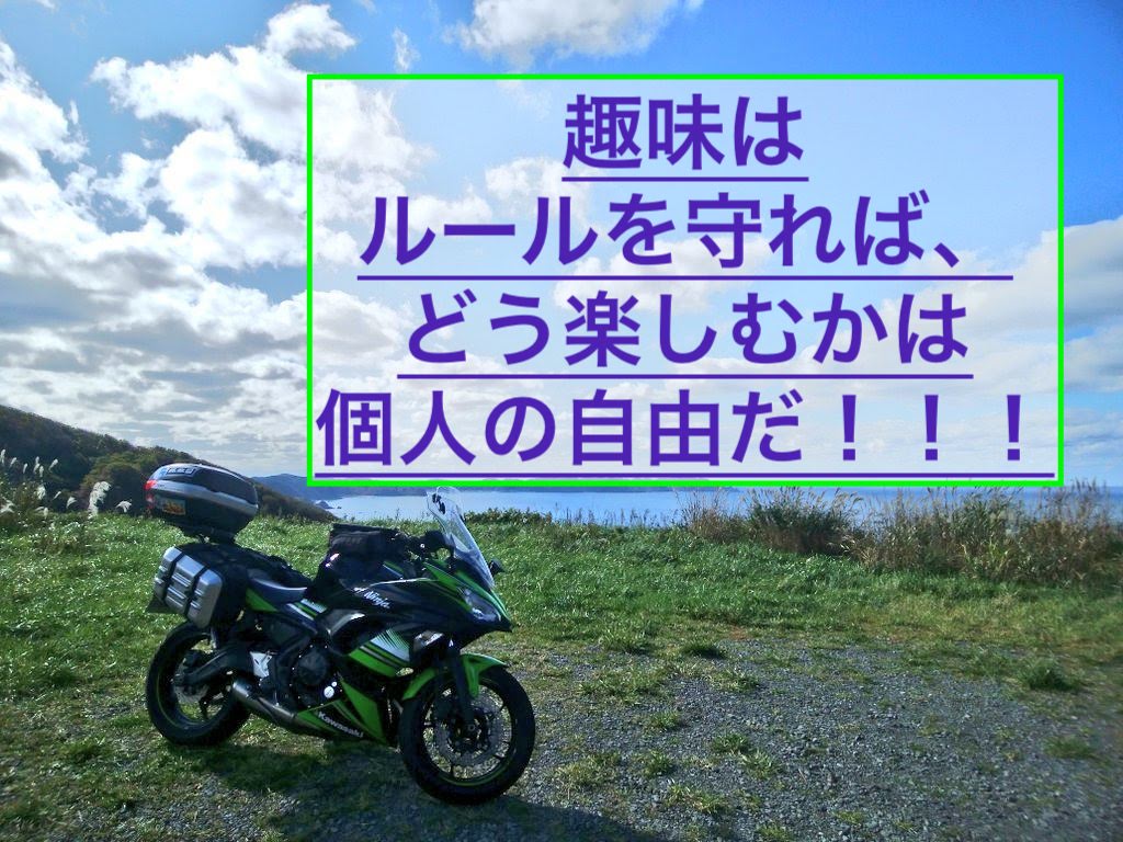 f:id:ninjalifegudaguda:20190226224021j:plain f:id:ninjalifegudaguda:20190226224021j:plain