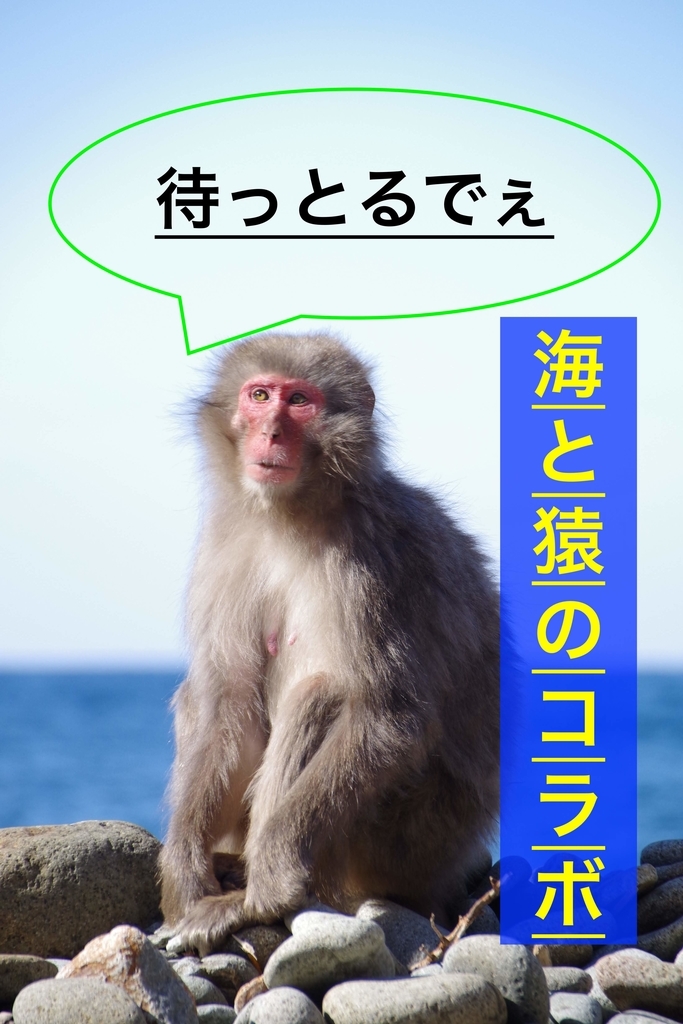 f:id:ninjalifegudaguda:20190227225222j:plain f:id:ninjalifegudaguda:20190227225222j:plain