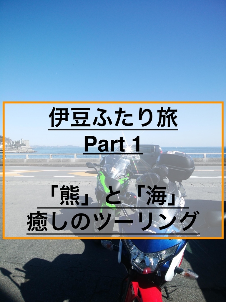 f:id:ninjalifegudaguda:20190228201108j:plain f:id:ninjalifegudaguda:20190228201108j:plain