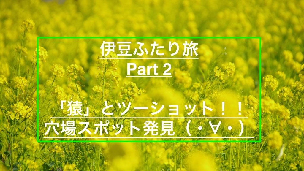 f:id:ninjalifegudaguda:20190228201120j:plain f:id:ninjalifegudaguda:20190228201120j:plain