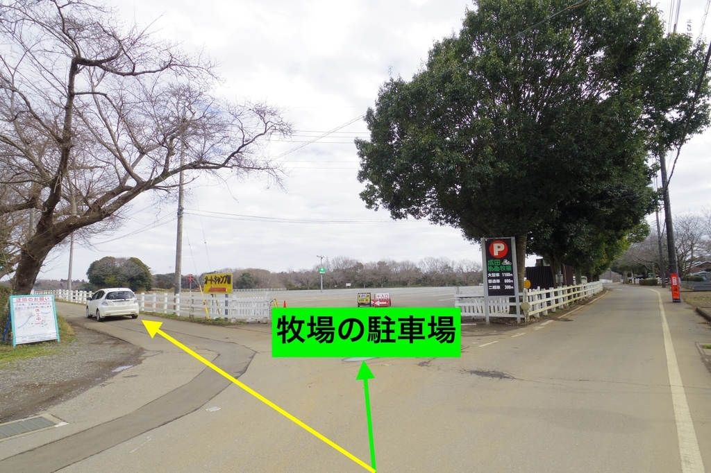 f:id:ninjalifegudaguda:20190303162603j:plain f:id:ninjalifegudaguda:20190303162603j:plain