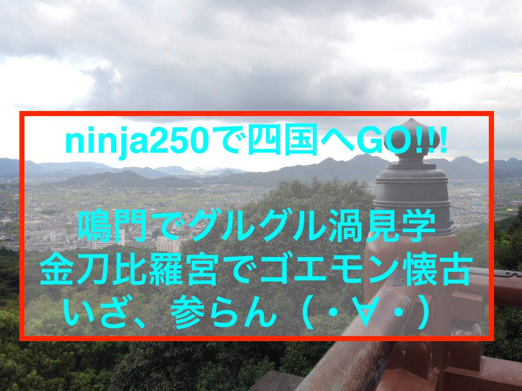 f:id:ninjalifegudaguda:20190304232417j:plain f:id:ninjalifegudaguda:20190304232417j:plain