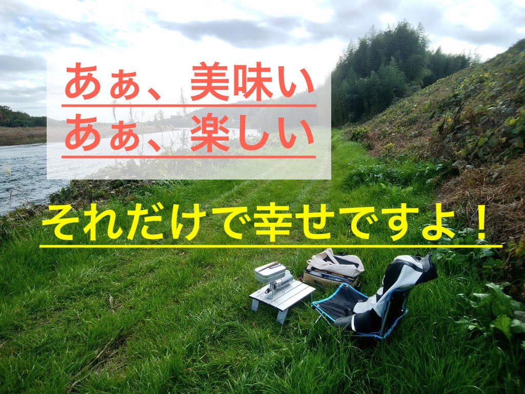 f:id:ninjalifegudaguda:20190306231200j:plain f:id:ninjalifegudaguda:20190306231200j:plain