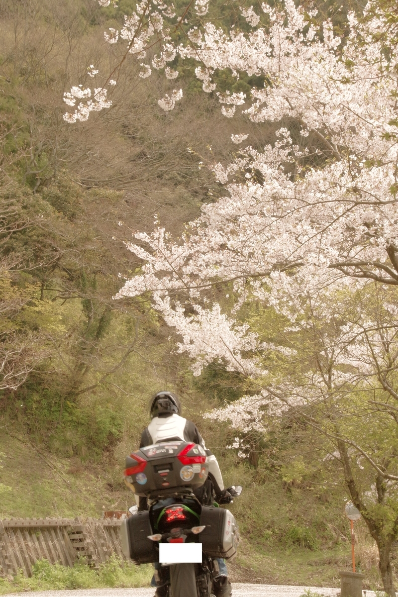 f:id:ninjalifegudaguda:20190423212741j:plain f:id:ninjalifegudaguda:20190423212741j:plain