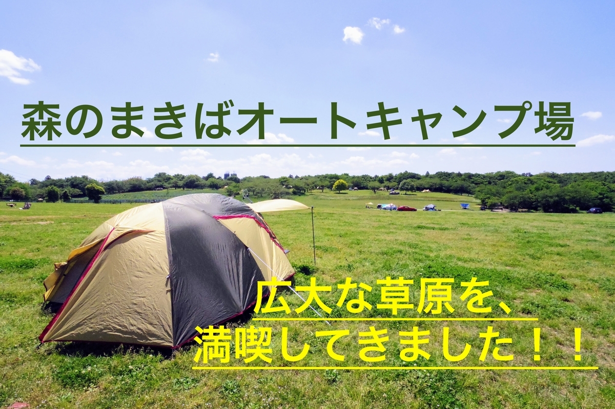 f:id:ninjalifegudaguda:20190521210525j:plain f:id:ninjalifegudaguda:20190521210525j:plain