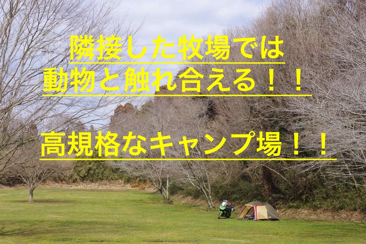 f:id:ninjalifegudaguda:20190524055739j:plain f:id:ninjalifegudaguda:20190524055739j:plain